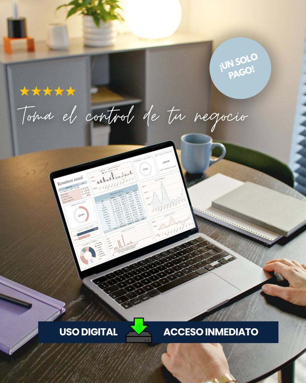 Plantilla Gestiona Las Finanzas para Tu Negocio