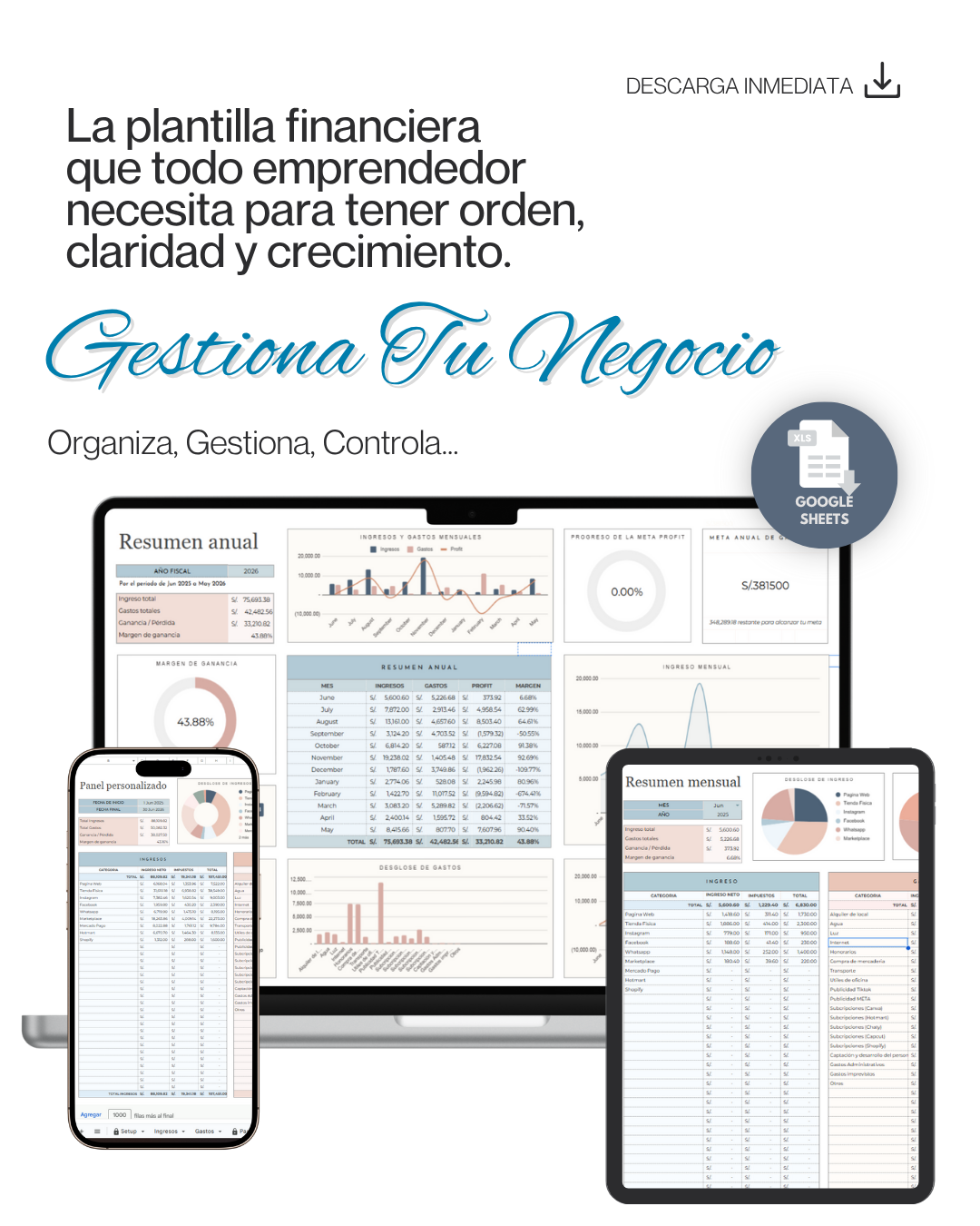 Plantilla Financiera "Gestiona Tu Negocio"